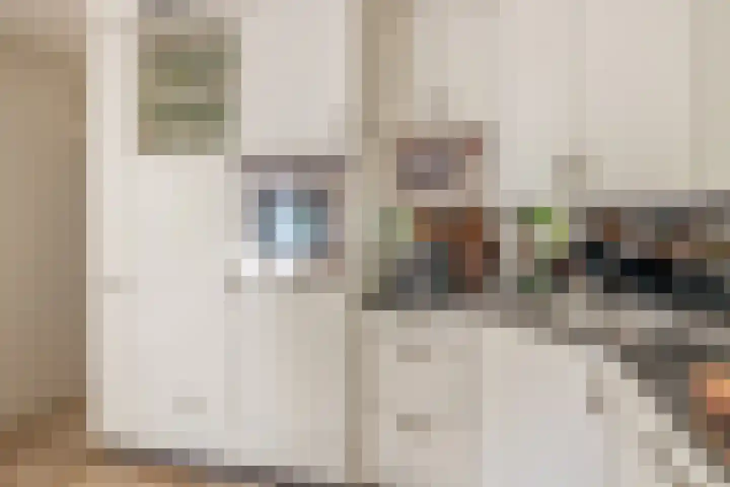 den Daal 22 Eersel thumbnail 19