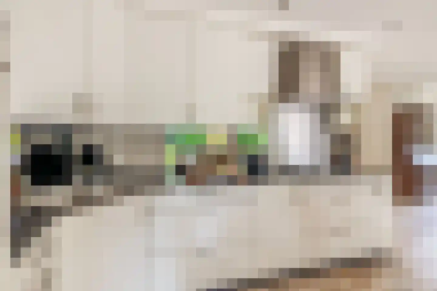 den Daal 22 Eersel thumbnail 20