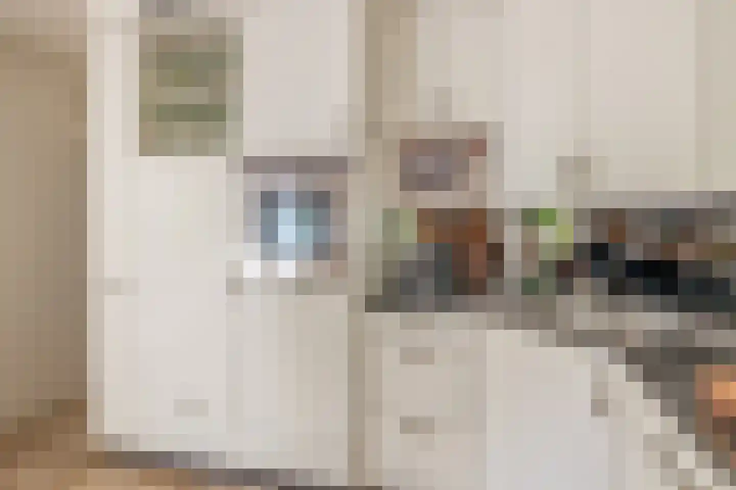 den Daal 22 Eersel thumbnail 21