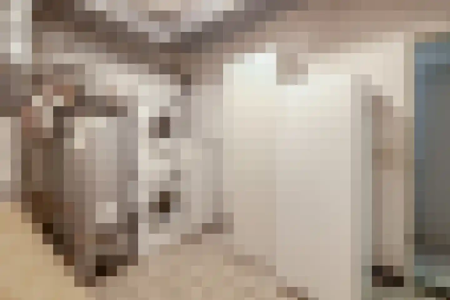 den Daal 22 Eersel thumbnail 24