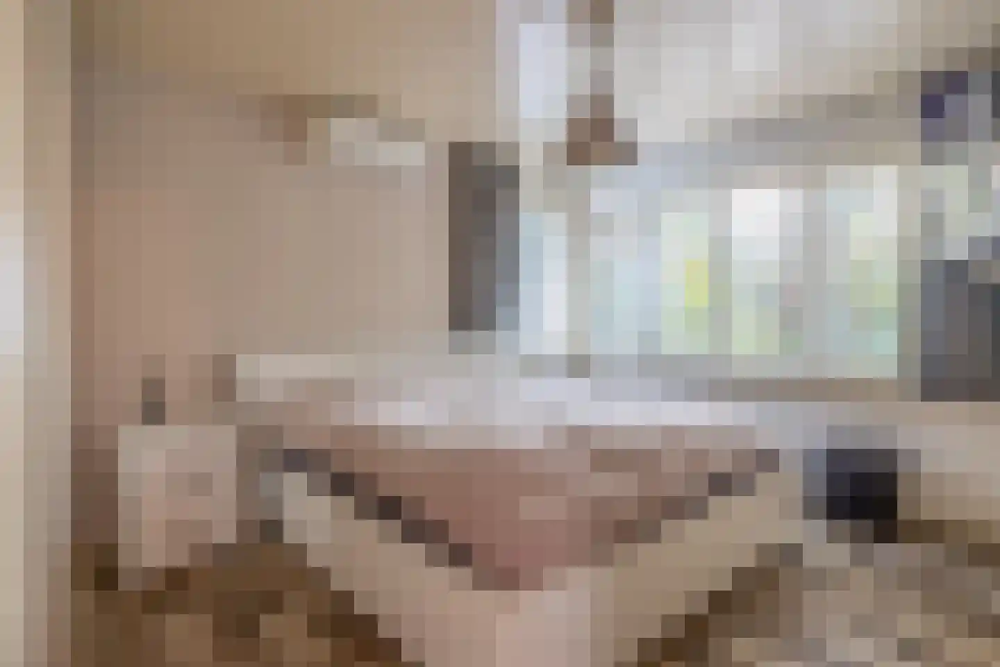 den Daal 22 Eersel thumbnail 30