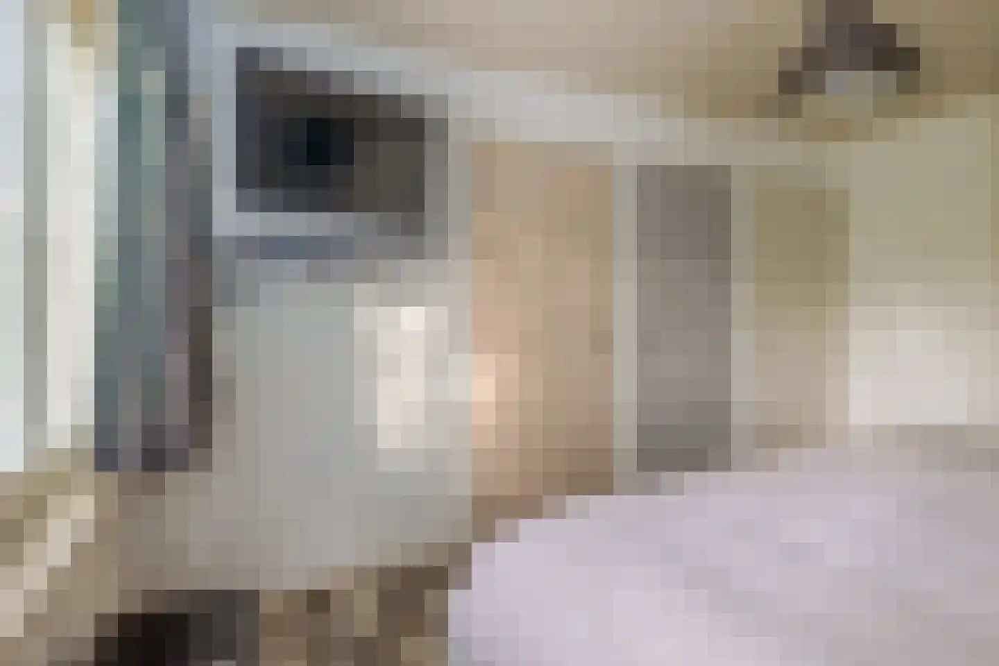 den Daal 22 Eersel thumbnail 31