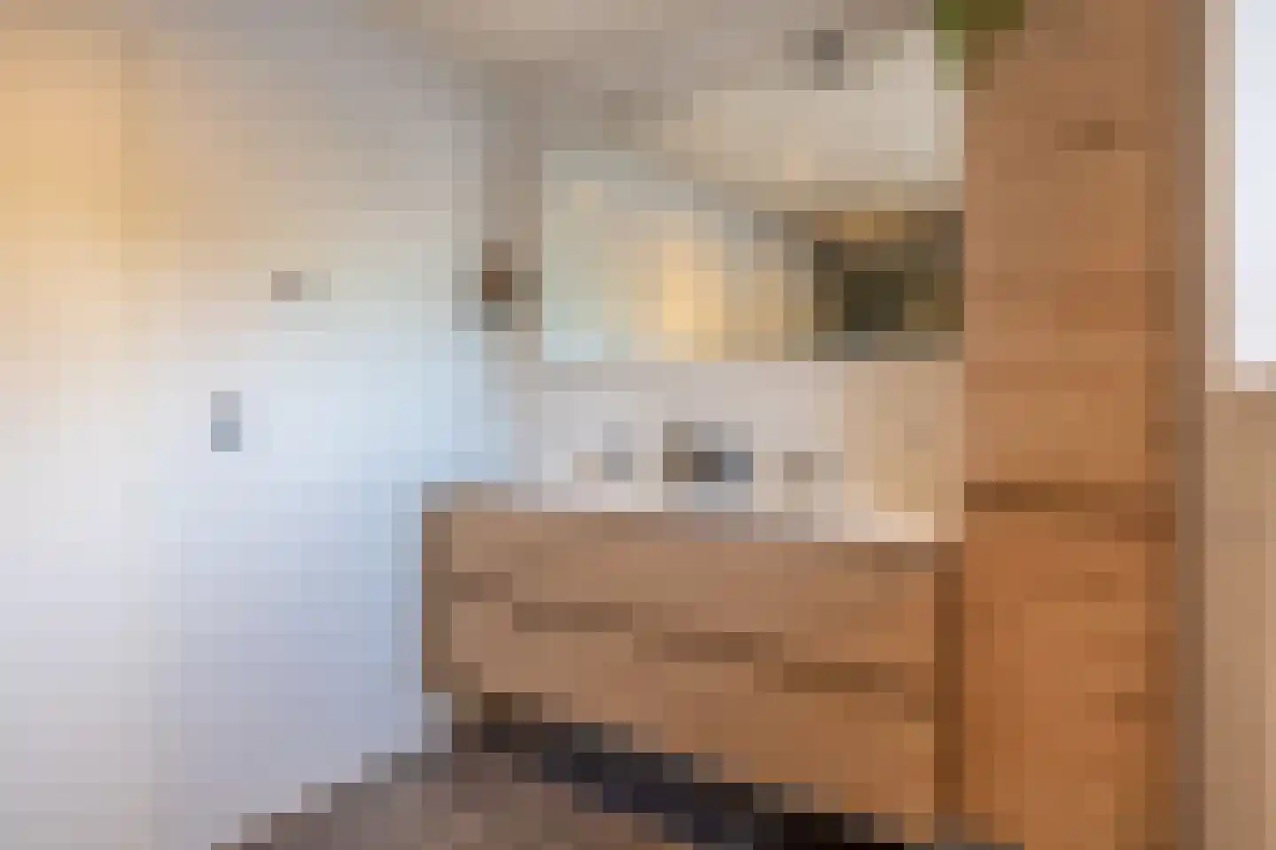 den Daal 22 Eersel thumbnail 36
