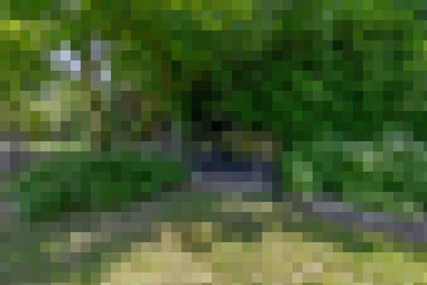 den Daal 22 Eersel thumbnail 38