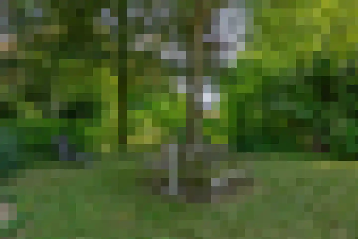den Daal 22 Eersel thumbnail 39