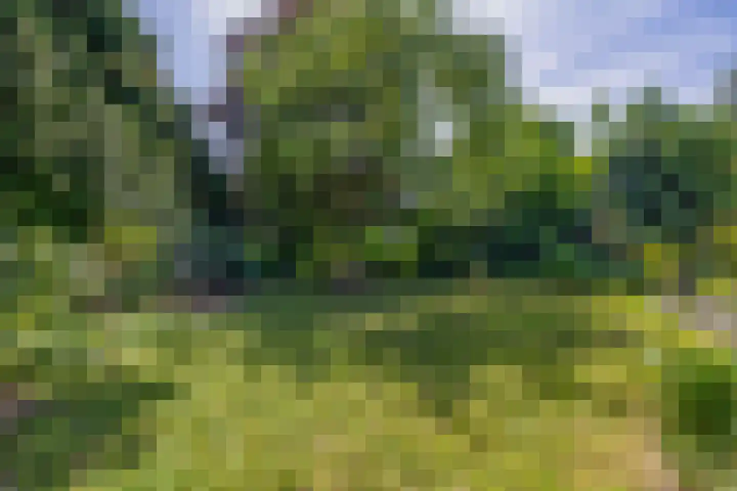 den Daal 22 Eersel thumbnail 4