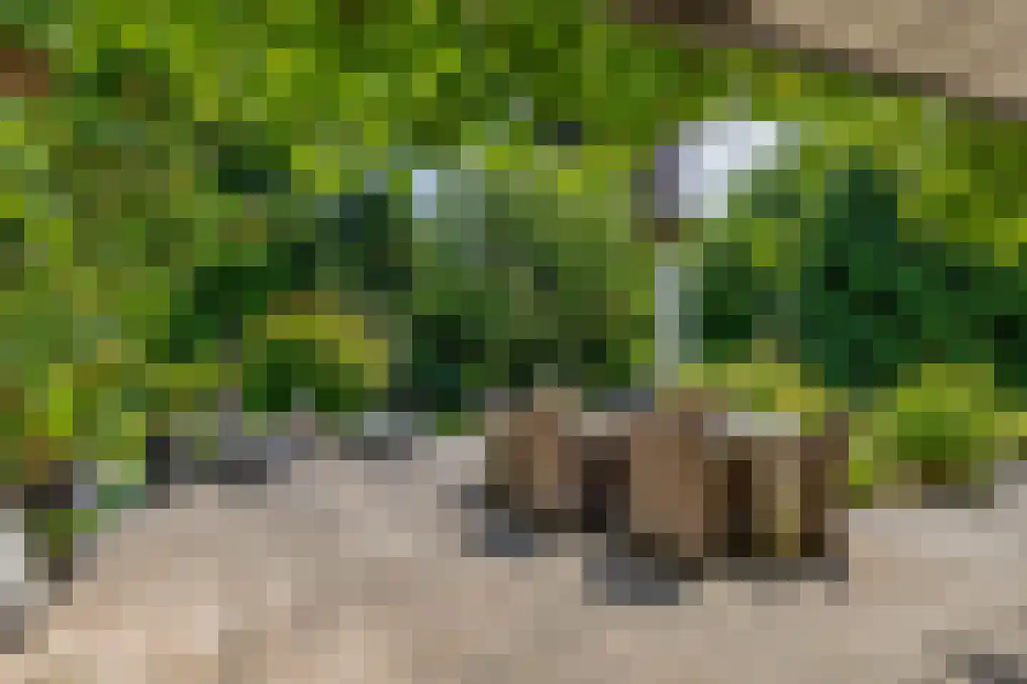 den Daal 22 Eersel thumbnail 40