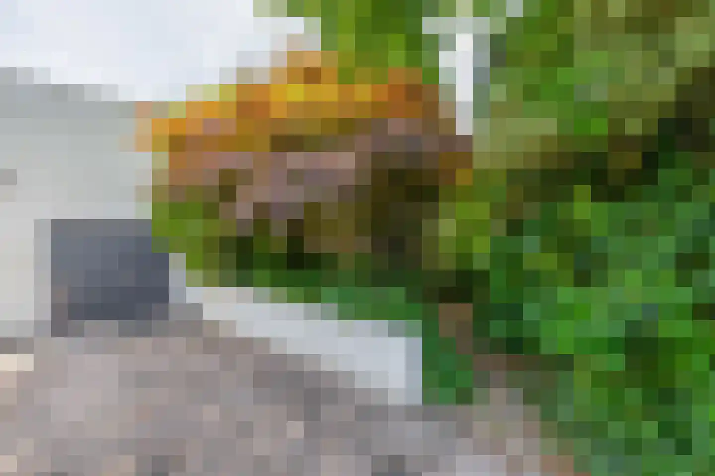 den Daal 22 Eersel thumbnail 42