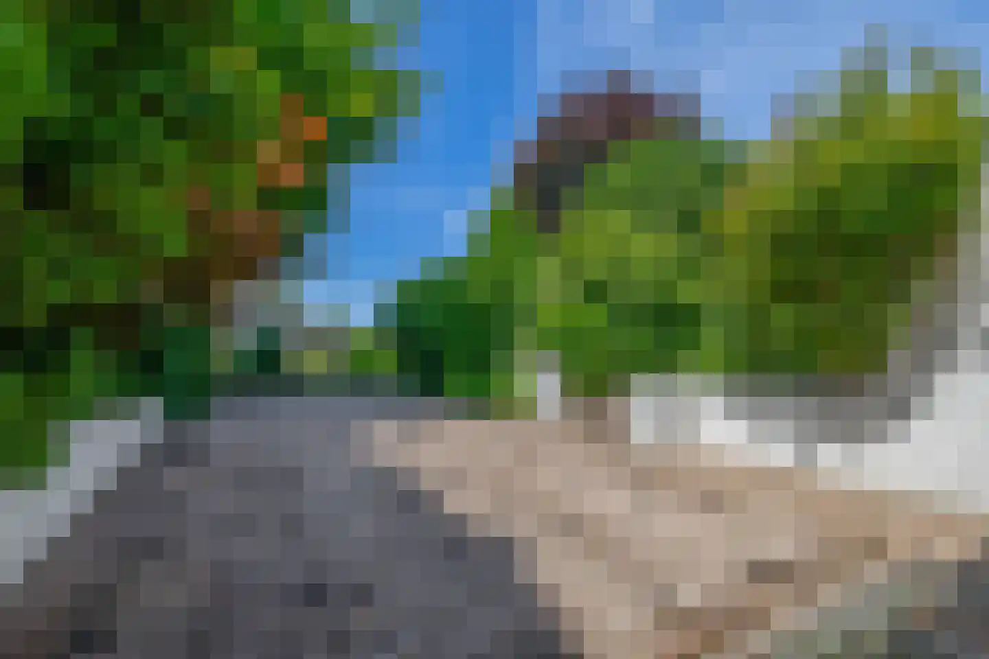 den Daal 22 Eersel thumbnail 43