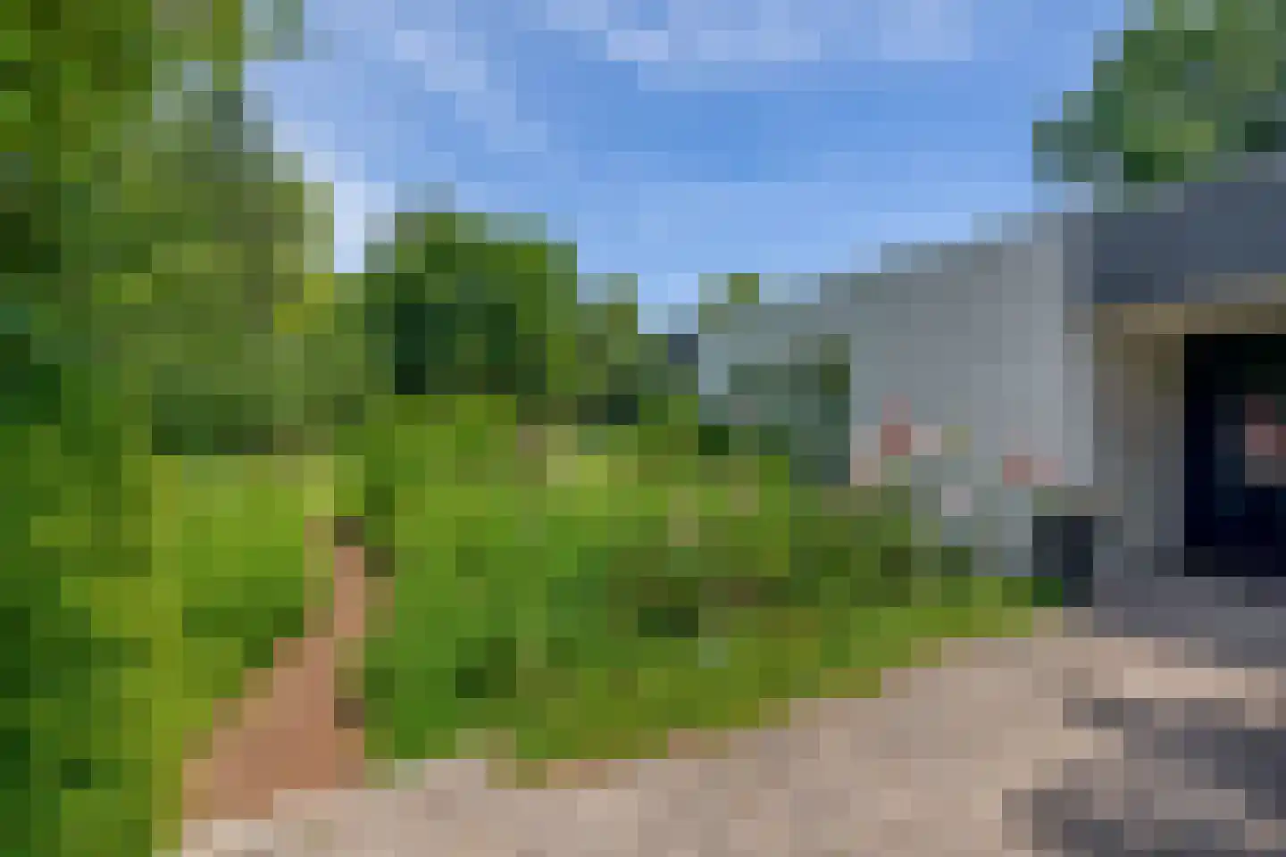 den Daal 22 Eersel thumbnail 44