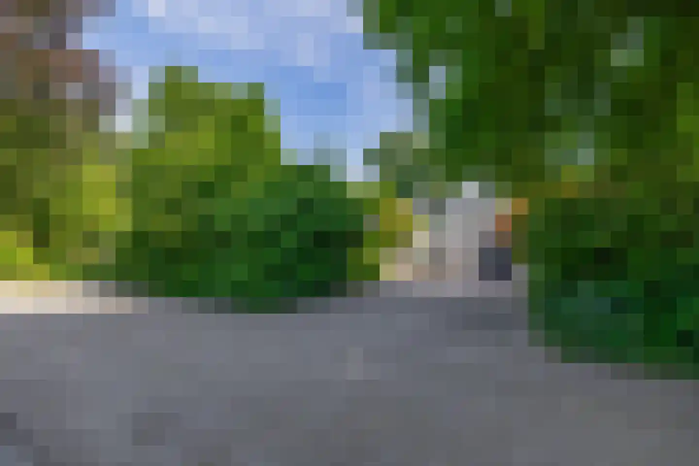 den Daal 22 Eersel thumbnail 45