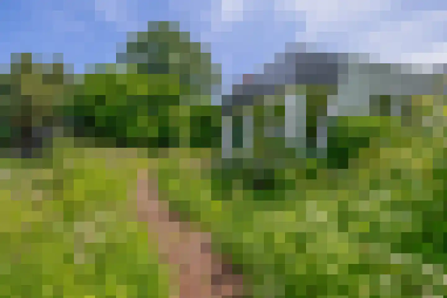 den Daal 22 Eersel thumbnail 46