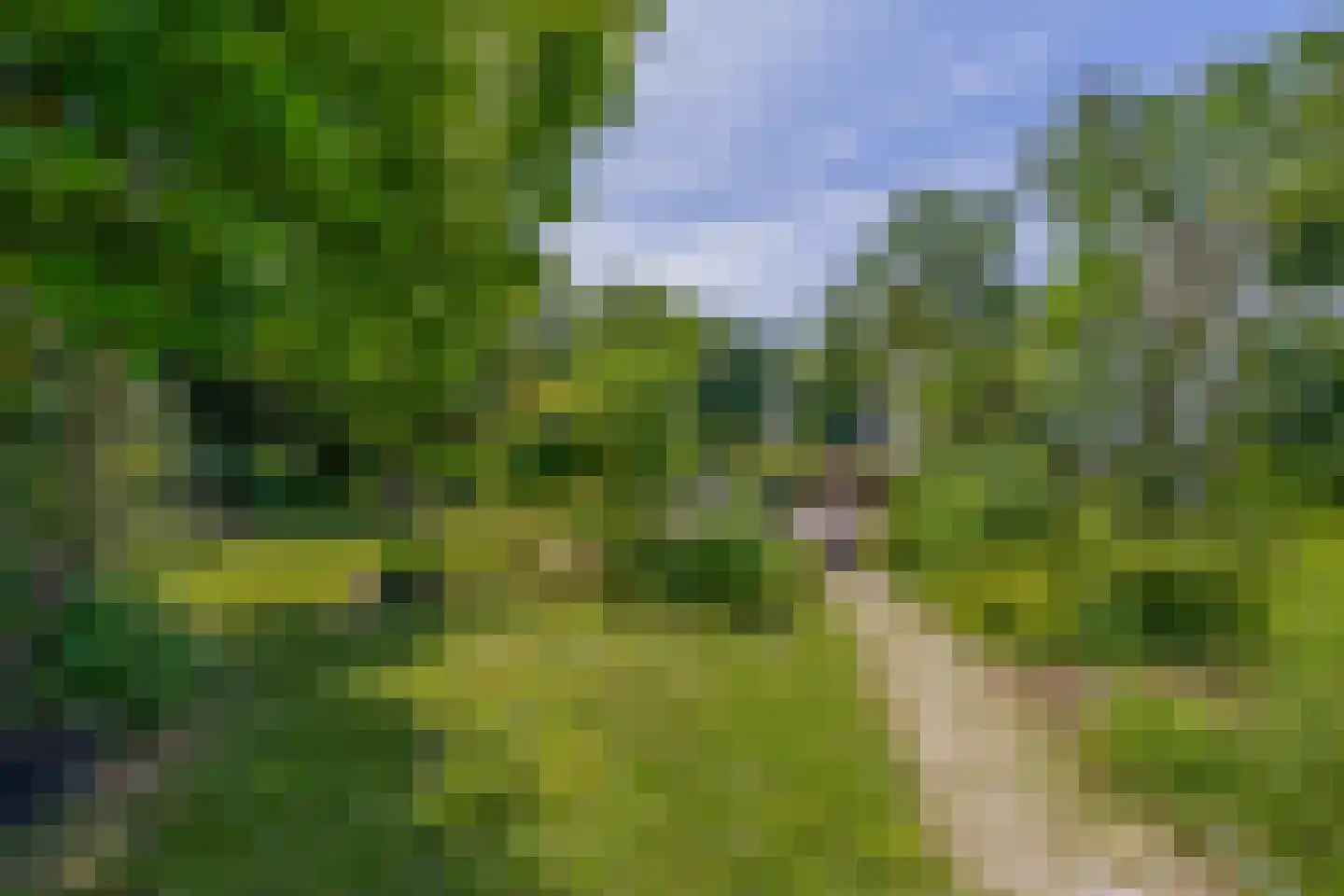 den Daal 22 Eersel thumbnail 47