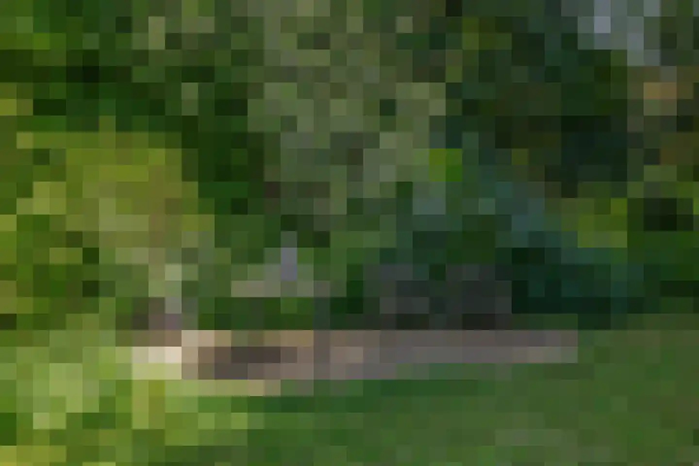 den Daal 22 Eersel thumbnail 49