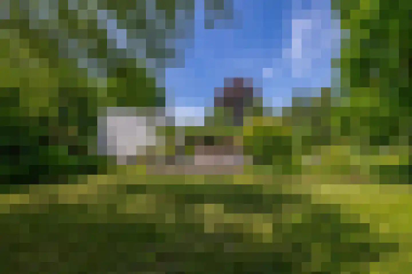 den Daal 22 Eersel thumbnail 50