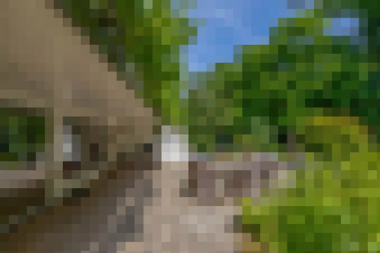 den Daal 22 Eersel thumbnail 52