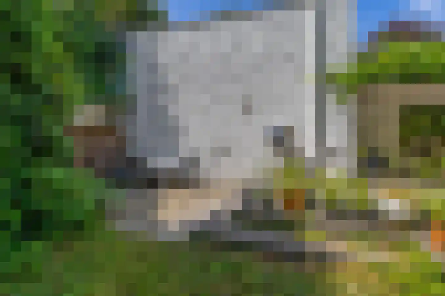 den Daal 22 Eersel thumbnail 53