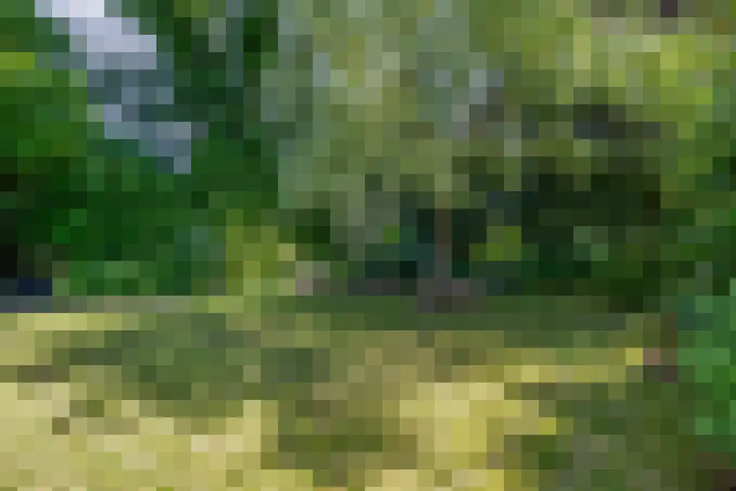 den Daal 22 Eersel thumbnail 54