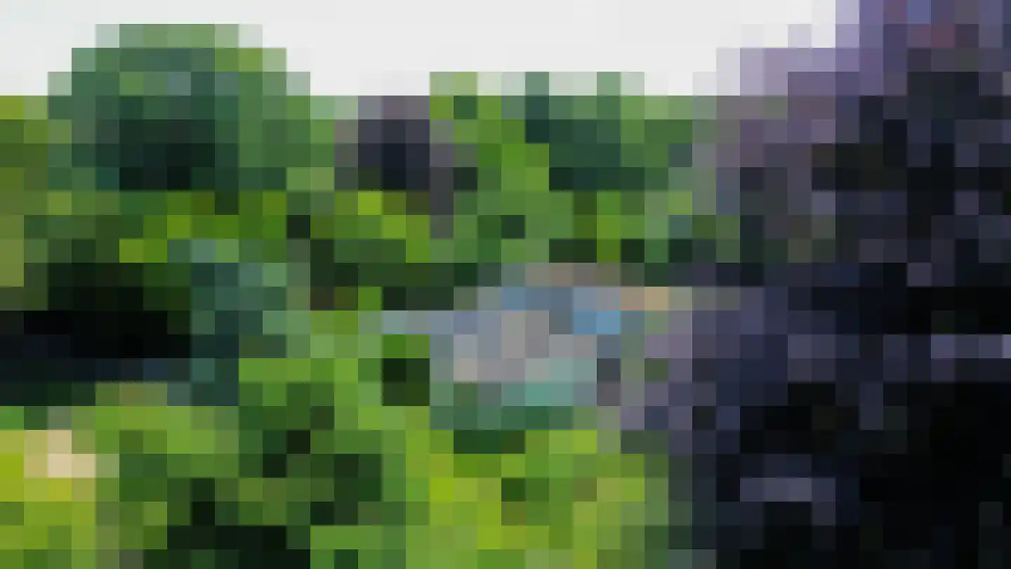 den Daal 22 Eersel thumbnail 55