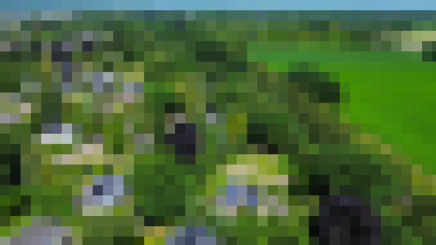 den Daal 22 Eersel thumbnail 57
