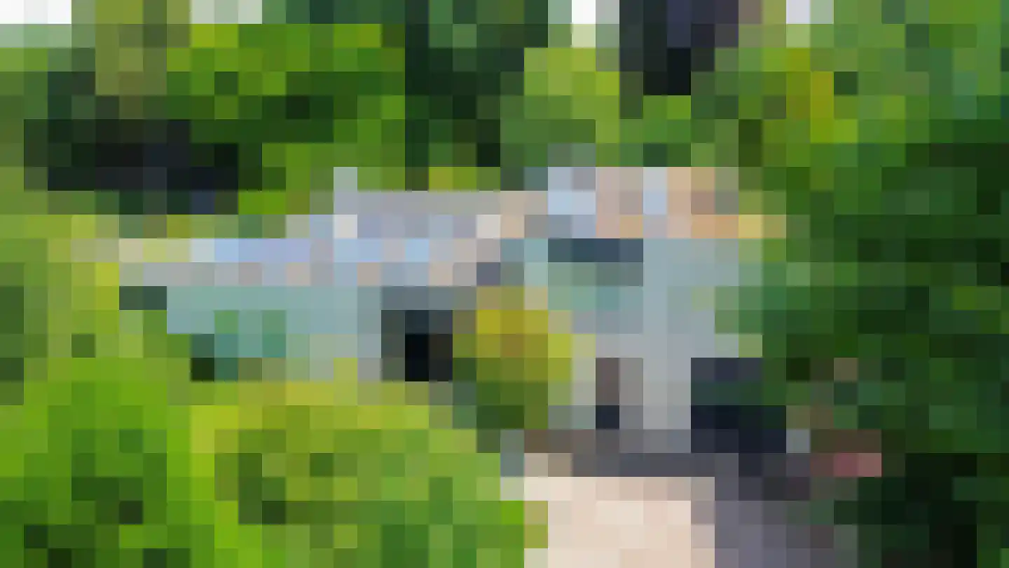 den Daal 22 Eersel thumbnail 58