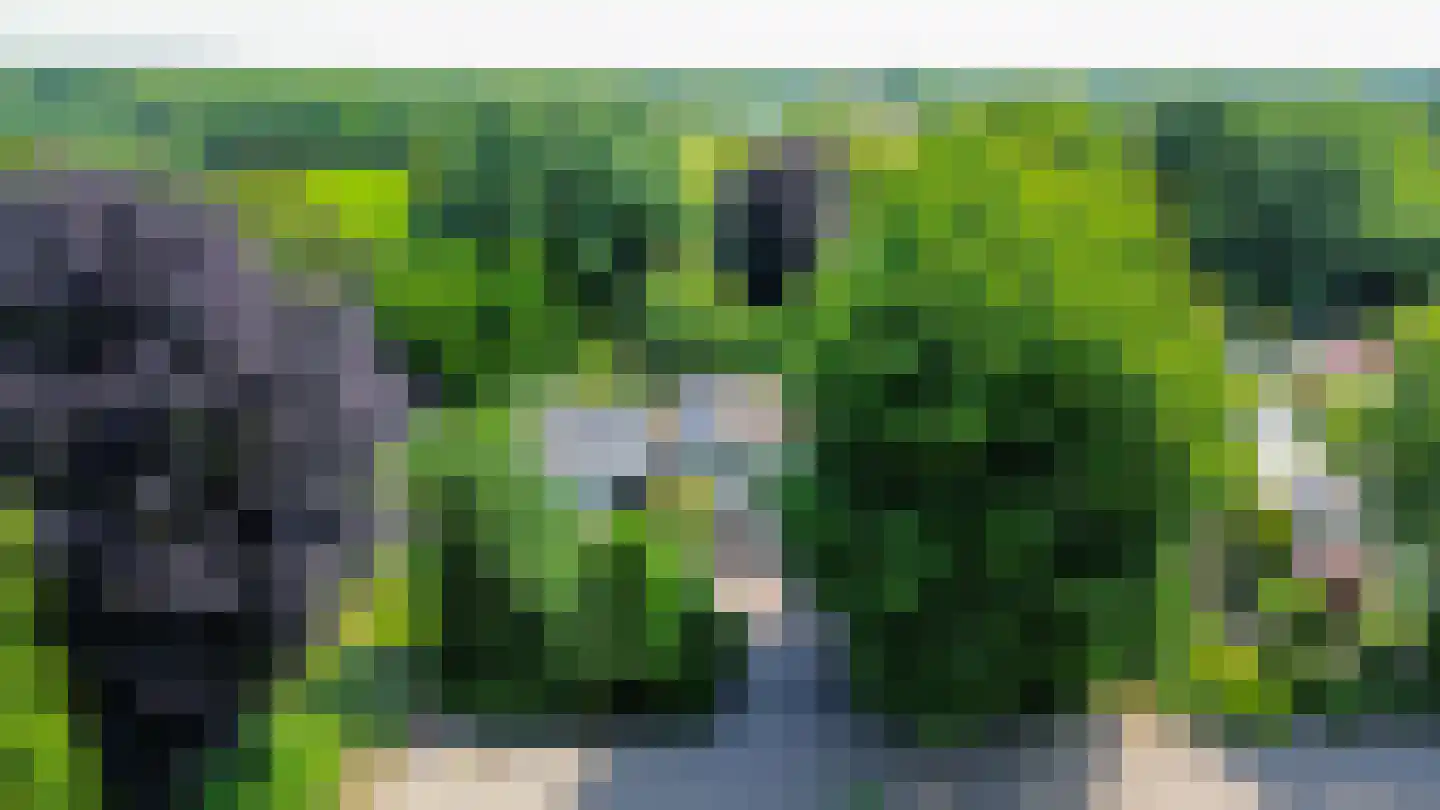 den Daal 22 Eersel thumbnail 59