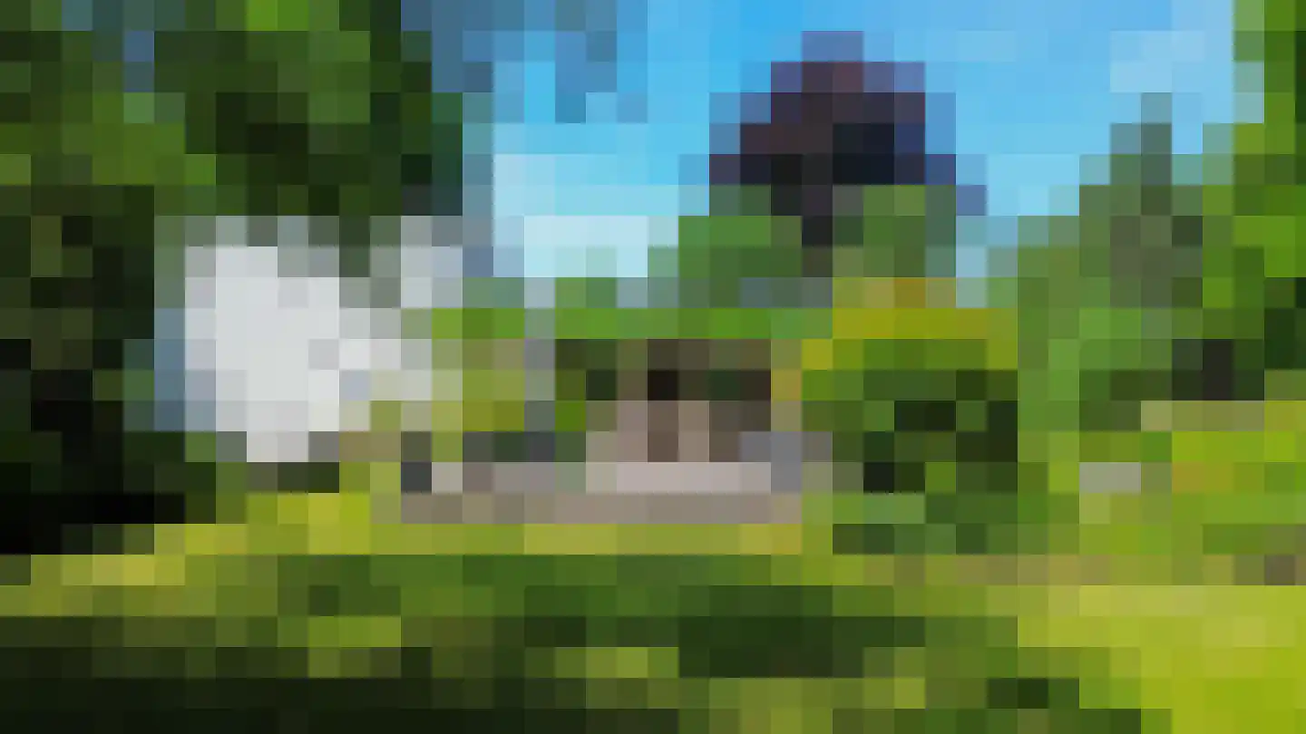 den Daal 22 Eersel thumbnail 60