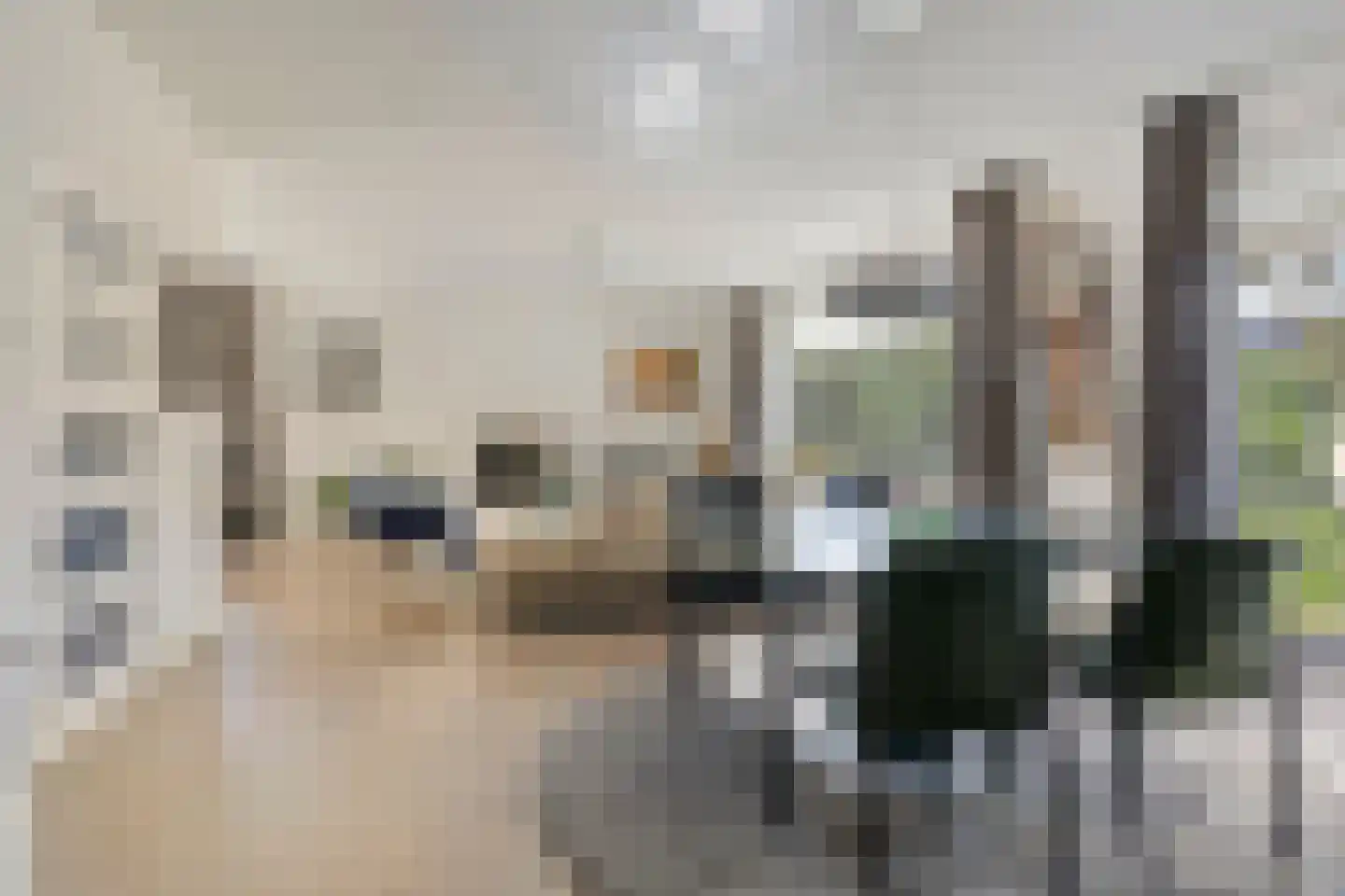 den Daal 5 Eersel thumbnail 21