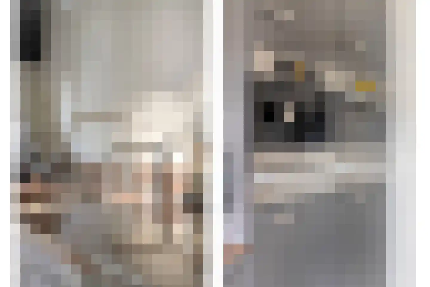 den Daal 5 Eersel thumbnail 22