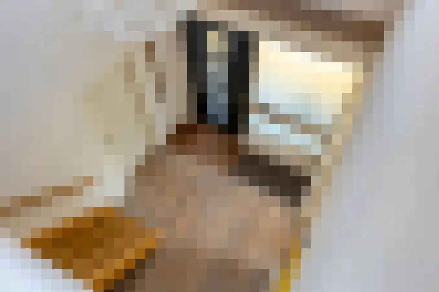 den Daal 5 Eersel thumbnail 30
