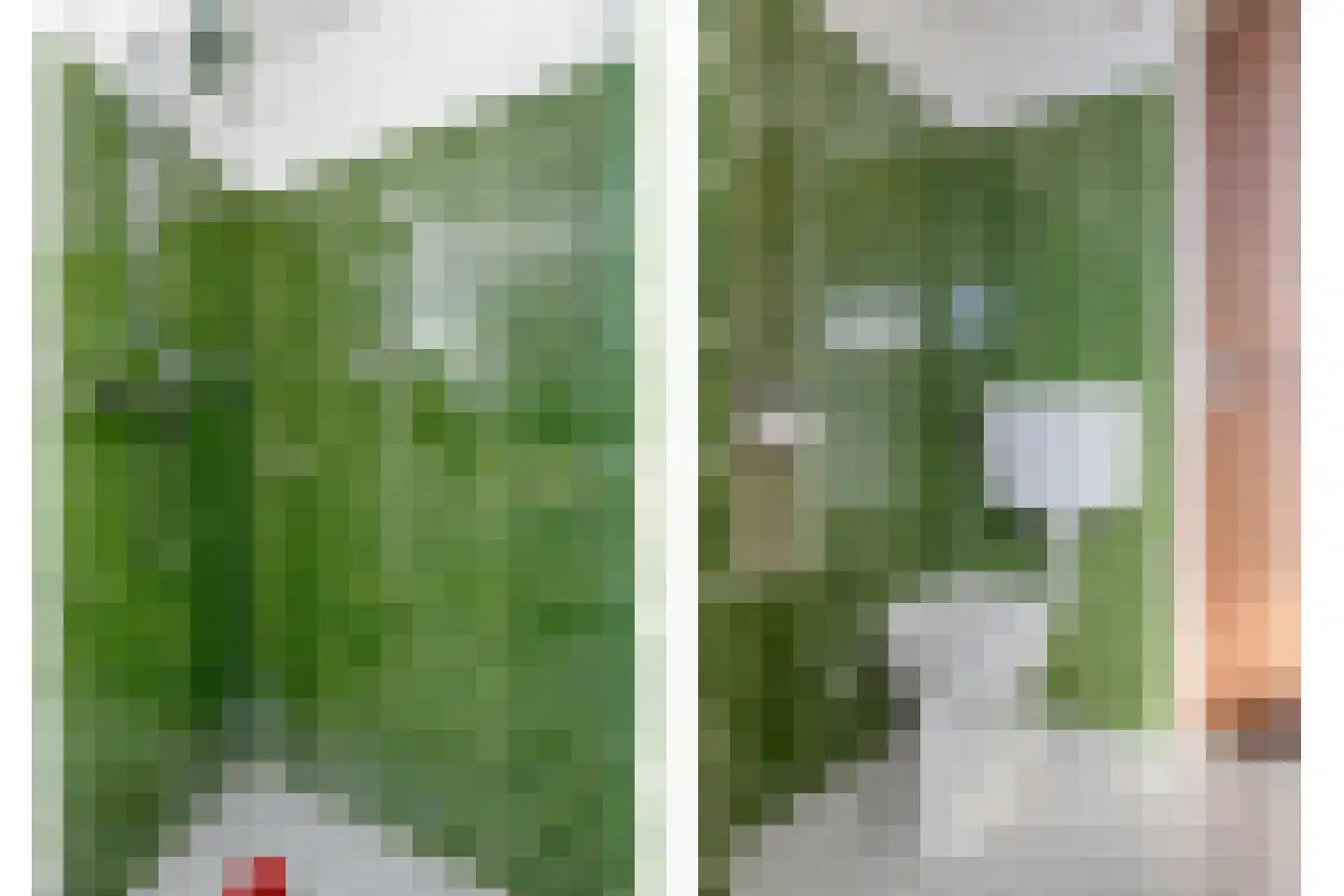 den Daal 5 Eersel thumbnail 33