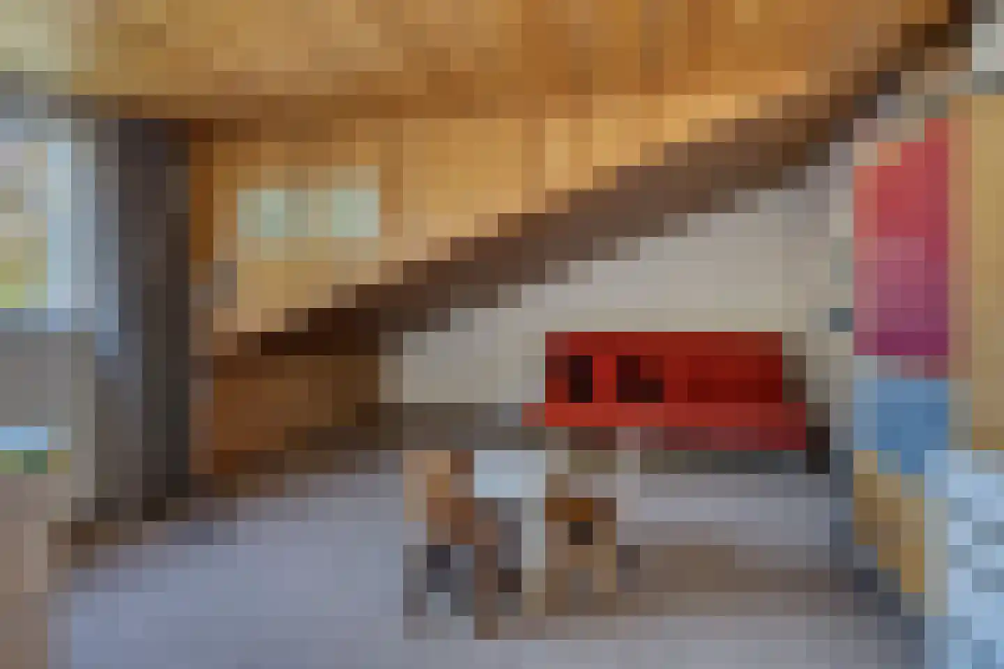 den Daal 5 Eersel thumbnail 35