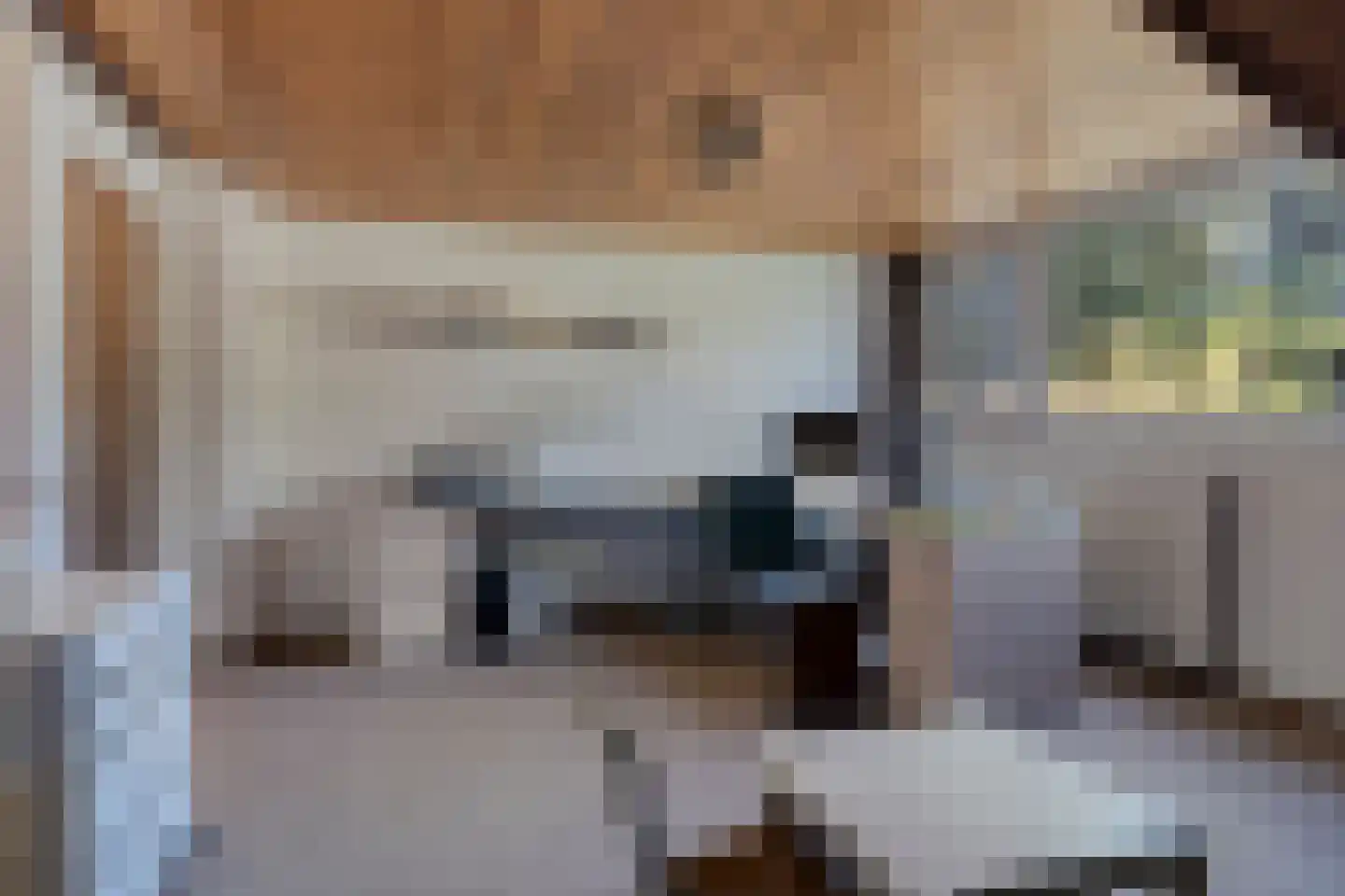 den Daal 5 Eersel thumbnail 36
