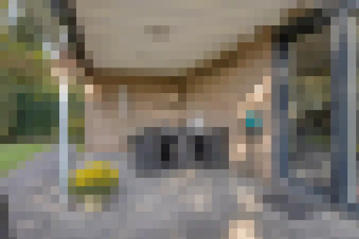 den Daal 5 Eersel thumbnail 39