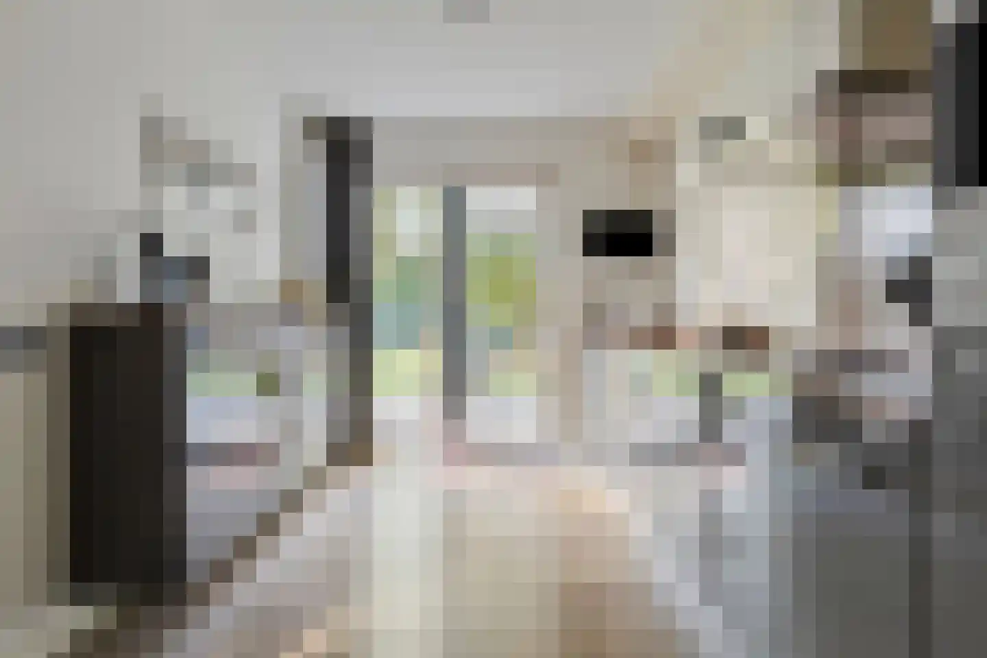 den Daal 5 Eersel thumbnail 4