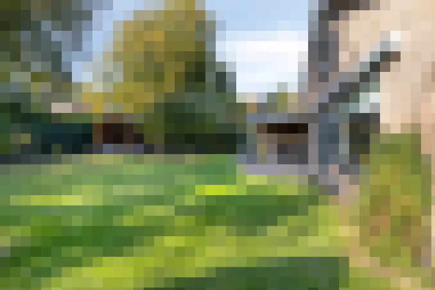 den Daal 5 Eersel thumbnail 43