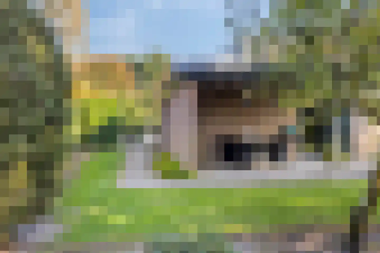 den Daal 5 Eersel thumbnail 45
