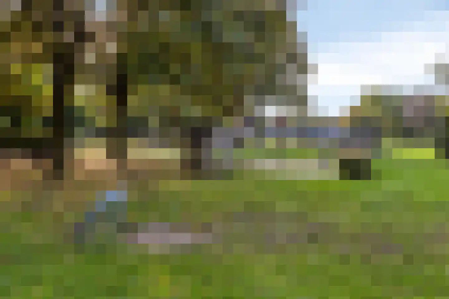 den Daal 5 Eersel thumbnail 47