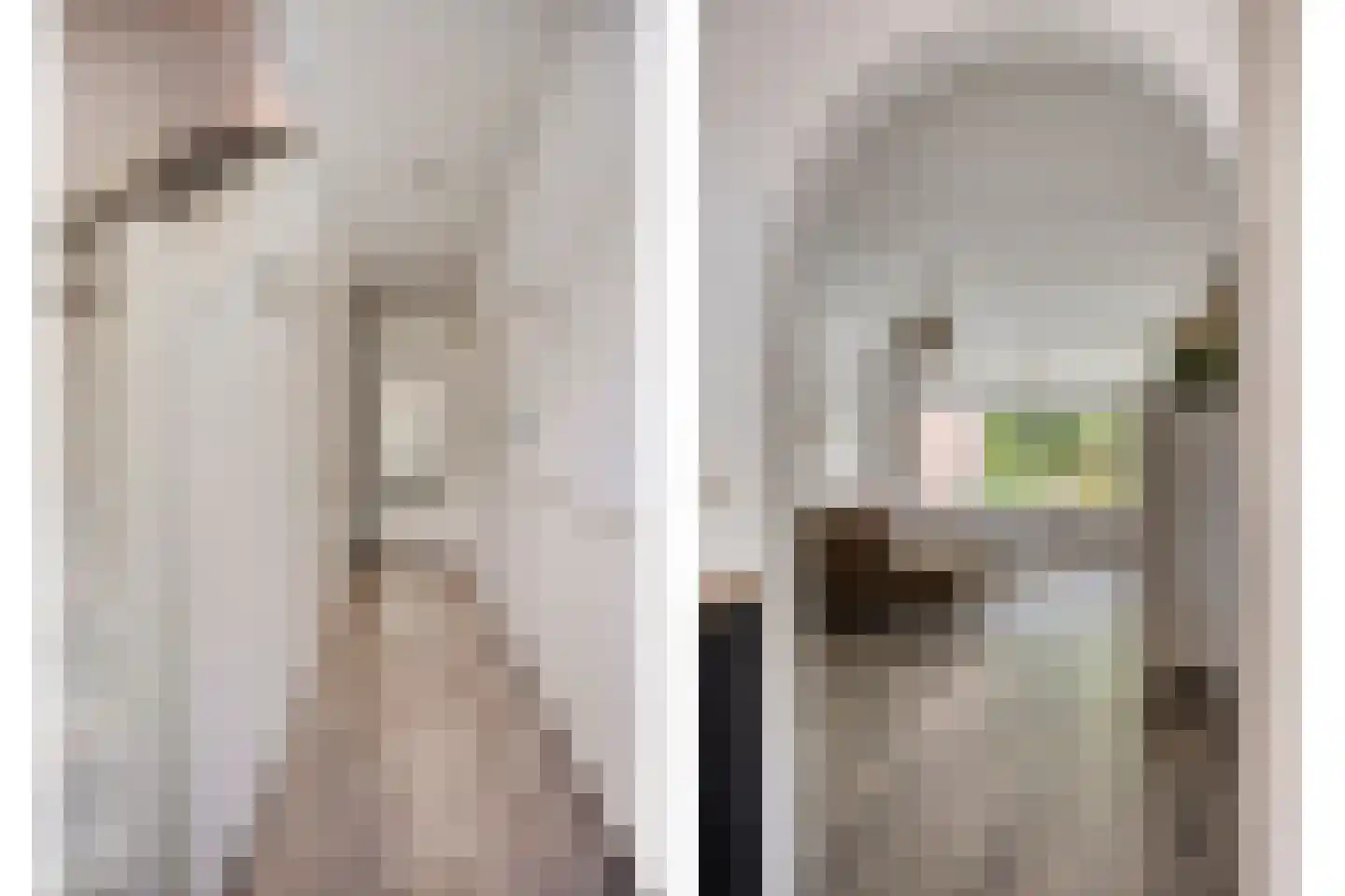 den Dam 14 Roden thumbnail 10