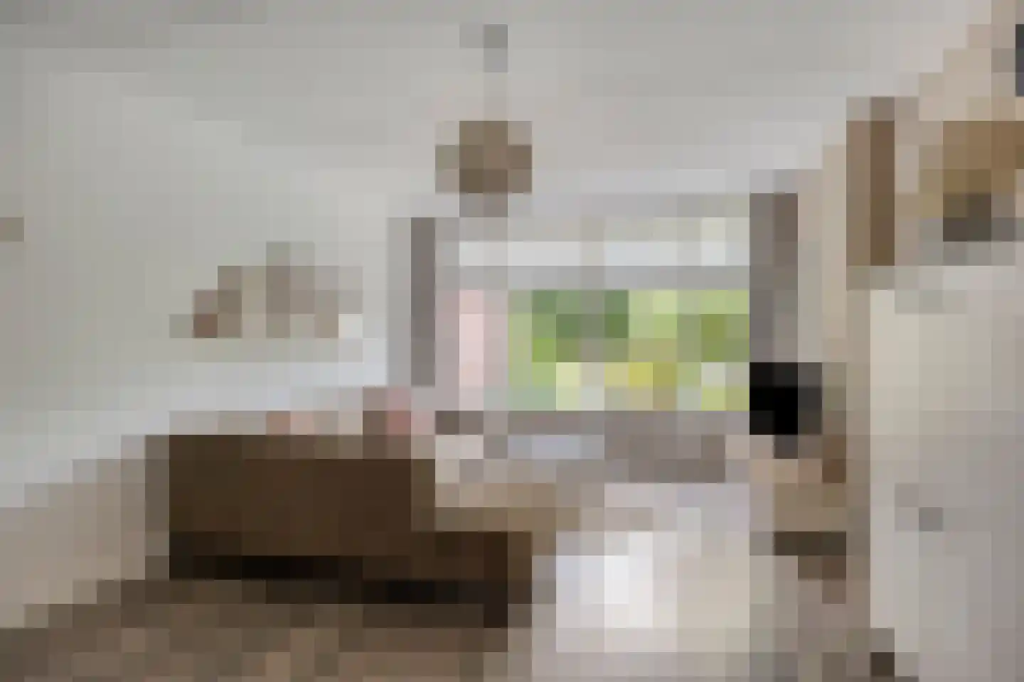 den Dam 14 Roden thumbnail 11