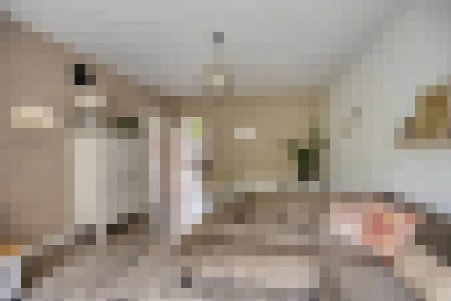 den Dam 14 Roden thumbnail 13