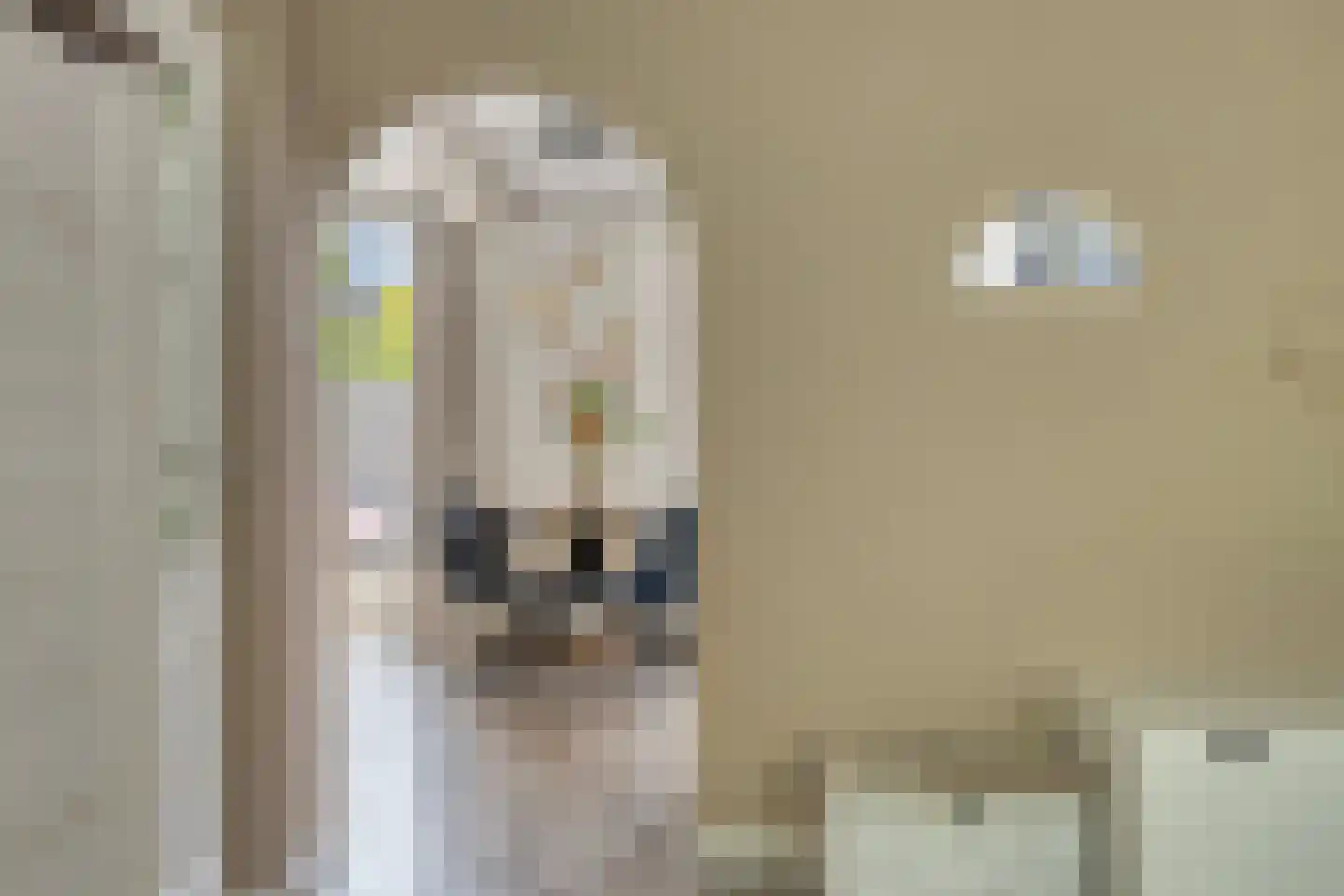 den Dam 14 Roden thumbnail 14