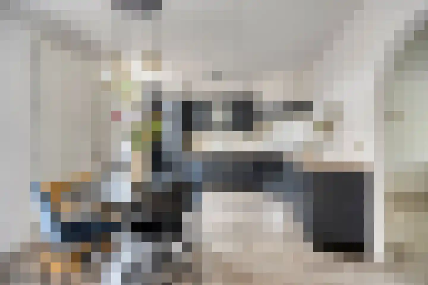 den Dam 14 Roden thumbnail 16