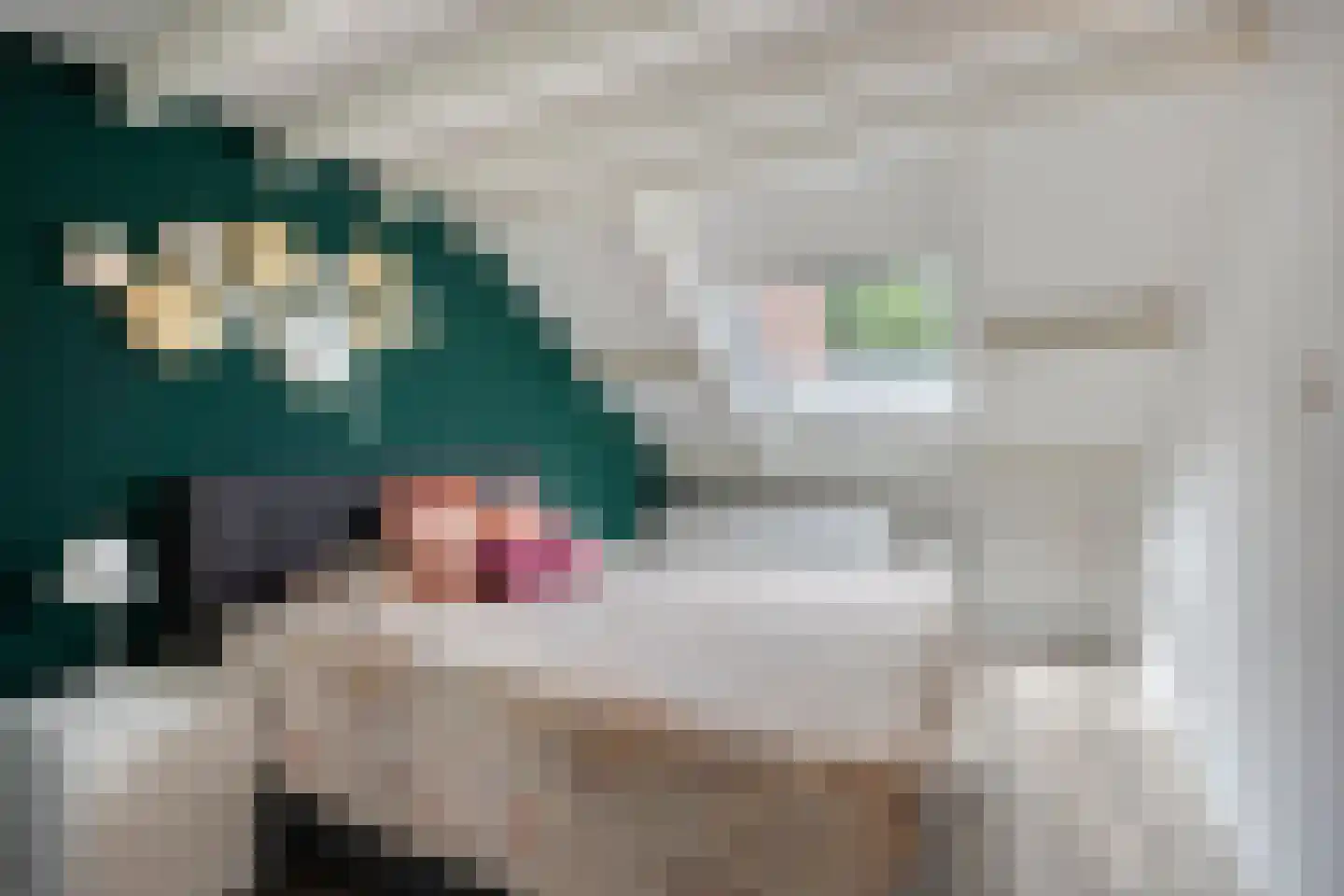 den Dam 14 Roden thumbnail 23