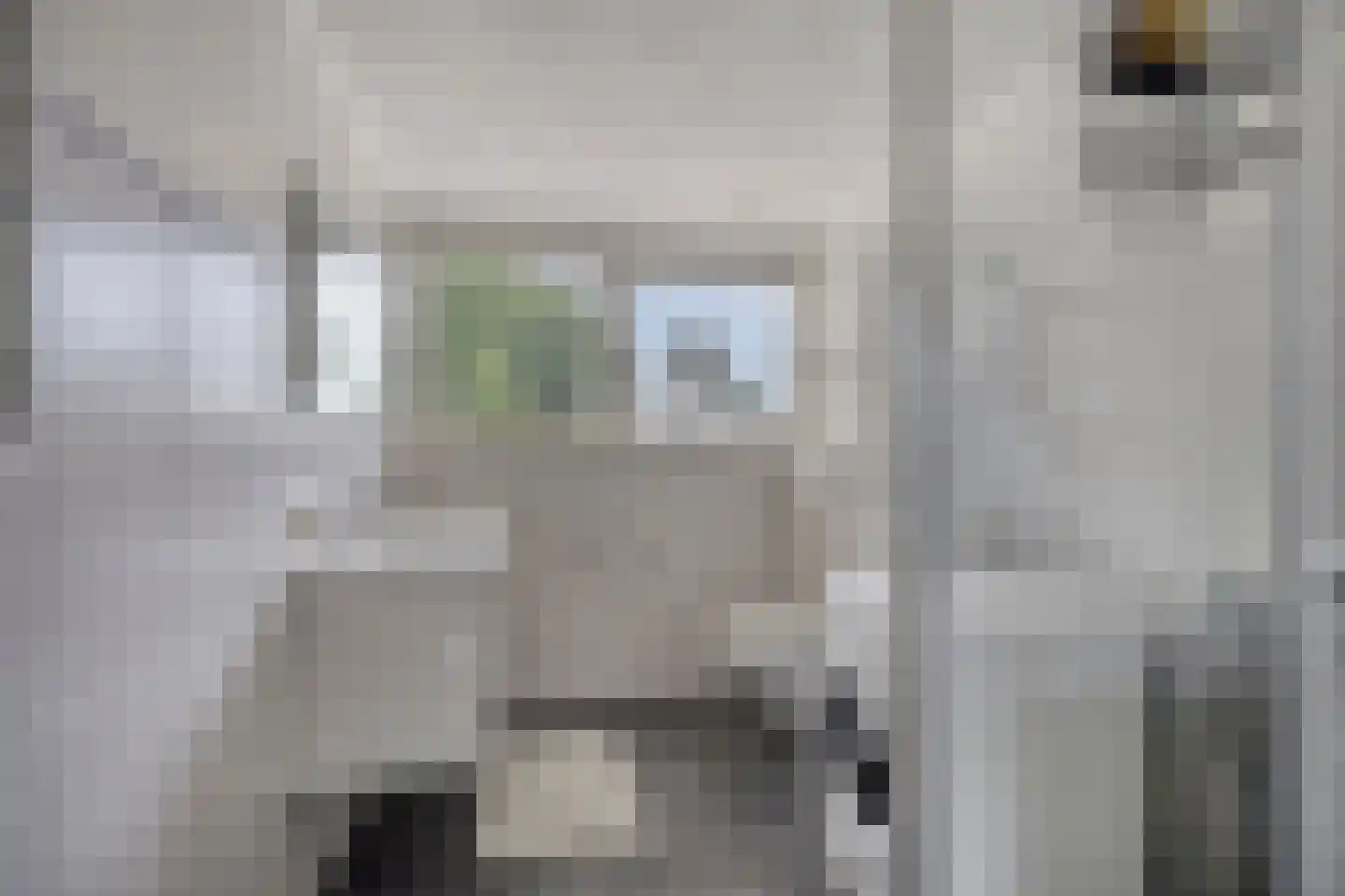 den Dam 14 Roden thumbnail 25