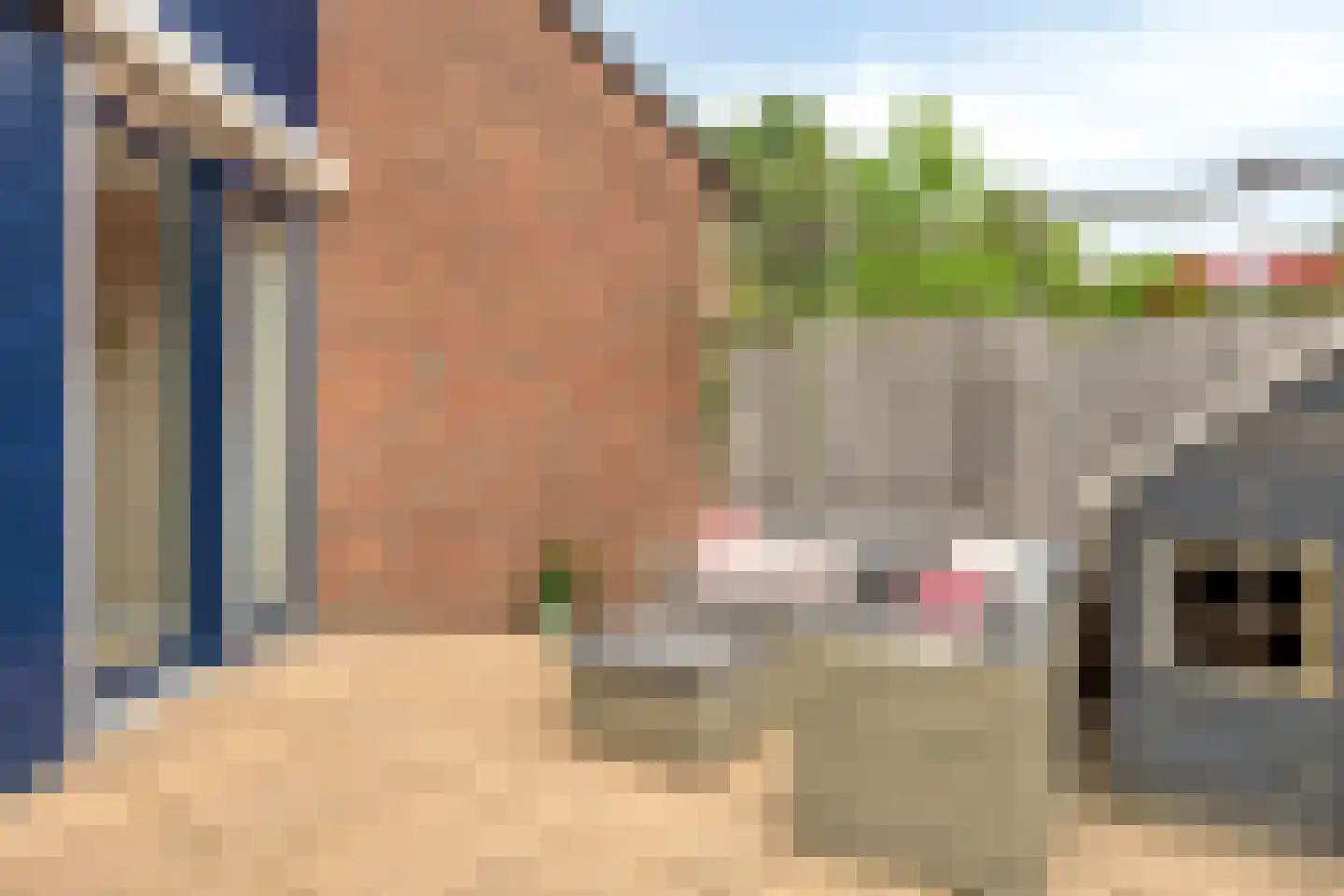 den Dam 14 Roden thumbnail 32