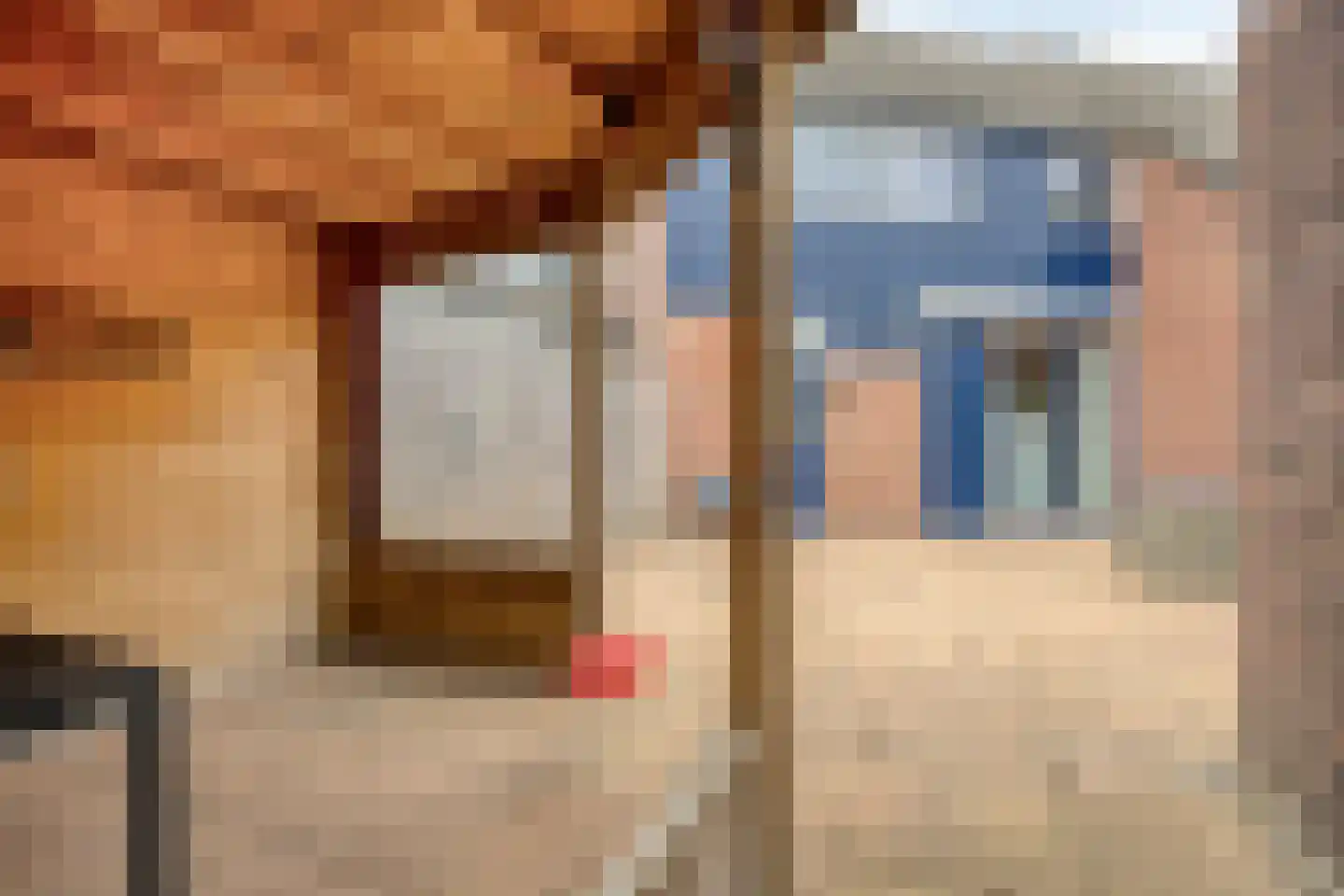 den Dam 14 Roden thumbnail 33