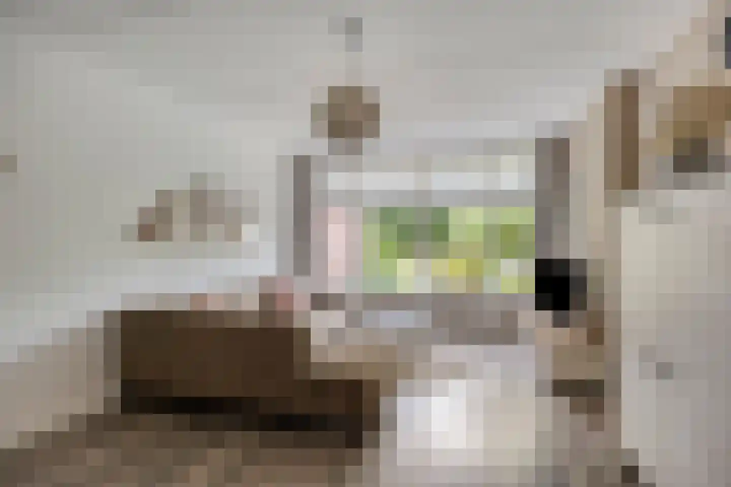 den Dam 14 Roden thumbnail 4