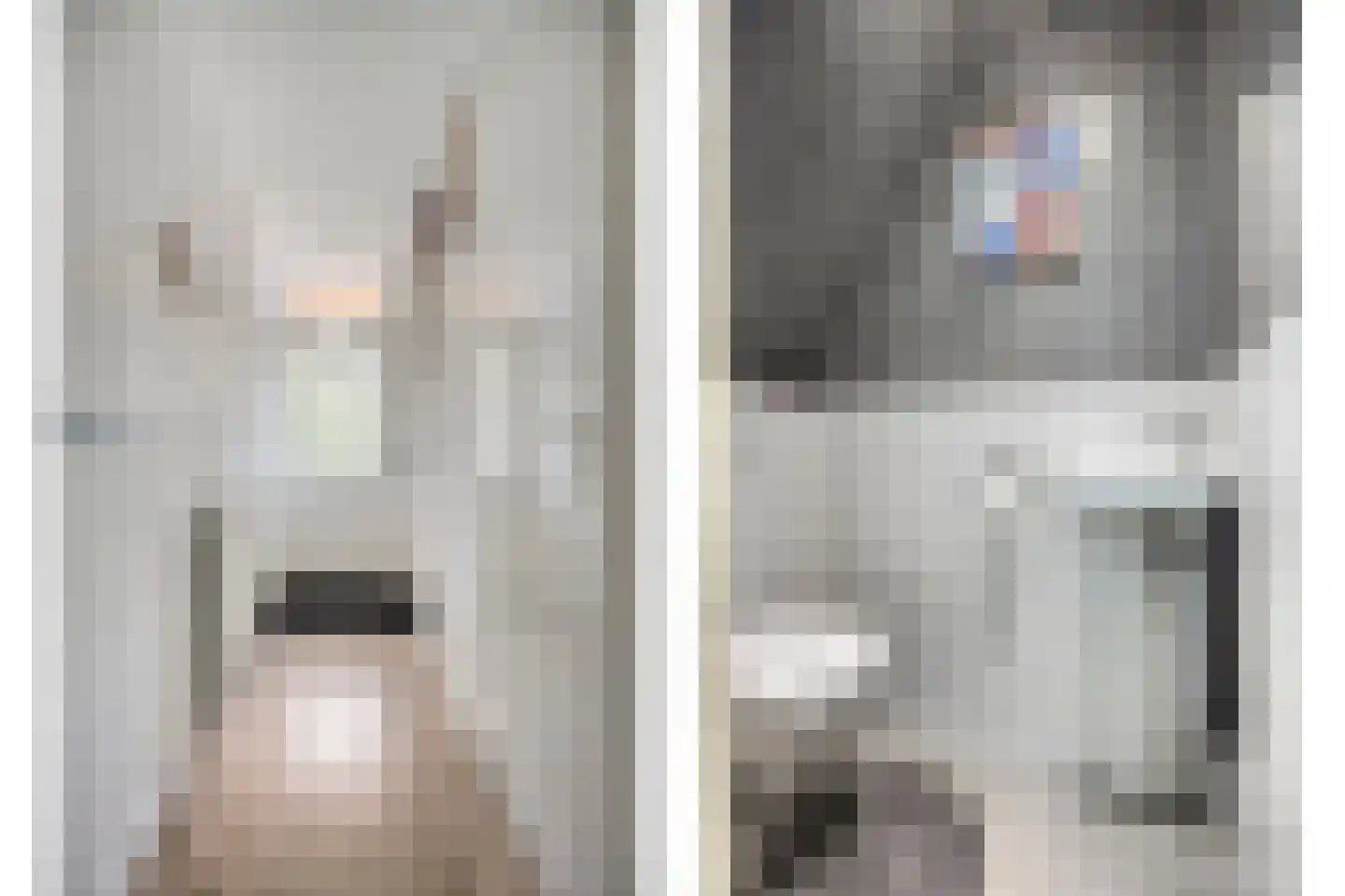 den Dam 14 Roden thumbnail 9