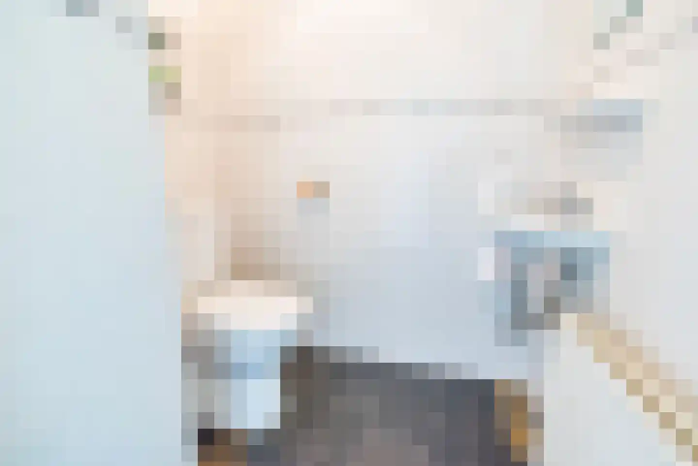 den Dam 25 Breedenbroek thumbnail 11